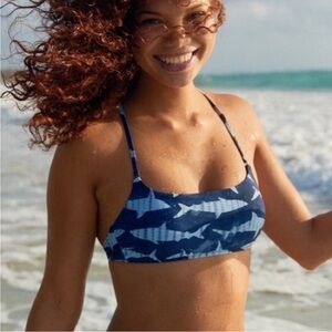 Aerie Blue Shark Print Bikini Top